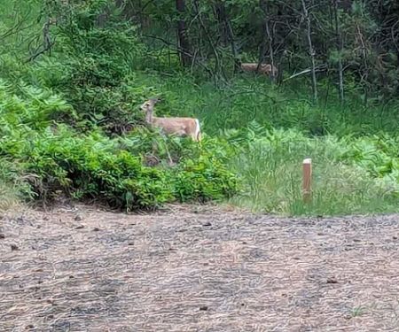 Harrison Bluffs Campground