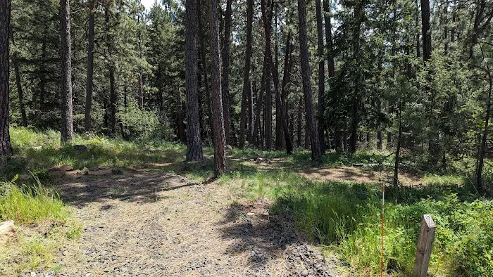 Harrison Bluffs Campground Picture 2