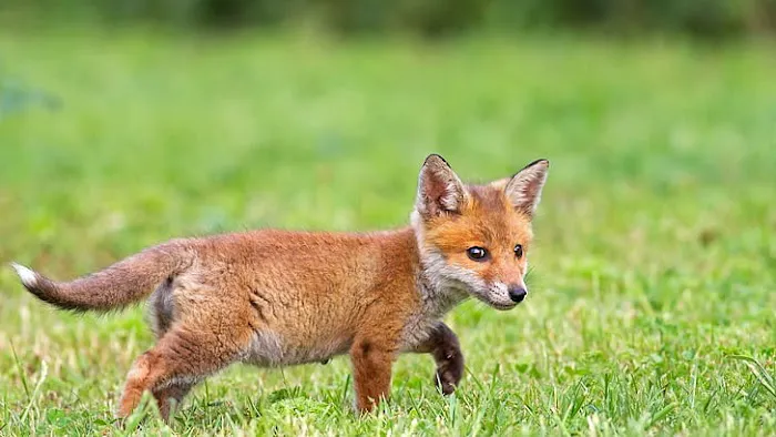 Nimisila Senior Estates Picture 3