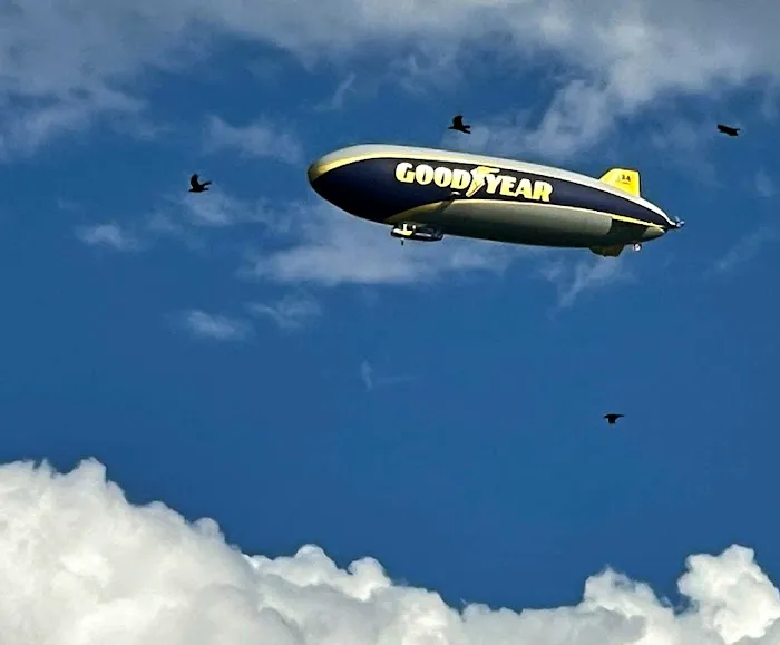 Nimisila Senior Estates Picture 9