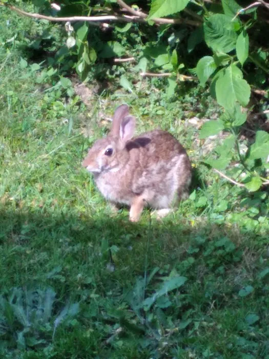 Nimisila Senior Estates Picture 1