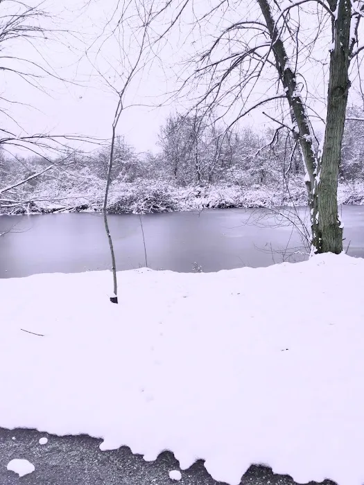 Nimisila Senior Estates Picture 8