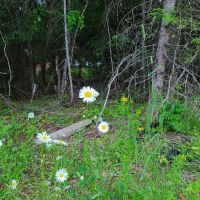 Camp Stidwell, Kiwanis ico