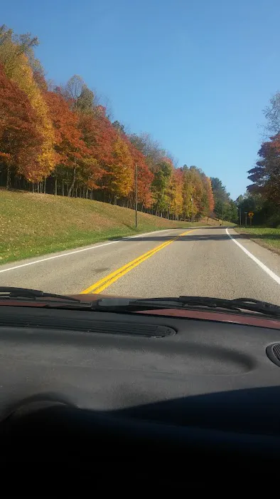 Canton Mobile Homes Picture 4