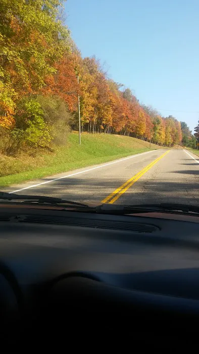 Canton Mobile Homes Picture 2