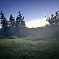 Camp Swan Lake ico