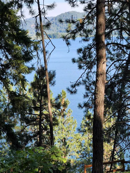 Chatcolet Campground Picture 3