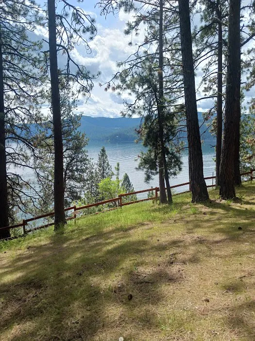 Chatcolet Campground Picture 2