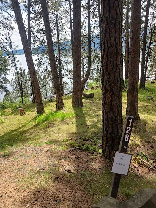 Chatcolet Campground Picture 4