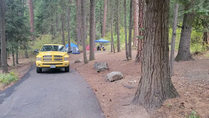 Chatcolet Campground Picture 9