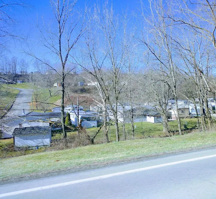 Town And Country Park Picture 5