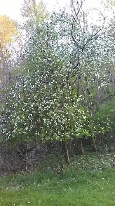 Town And Country Park Picture 3