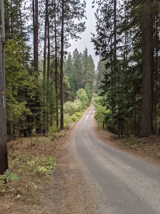 Benewah Lake Campground Picture 4