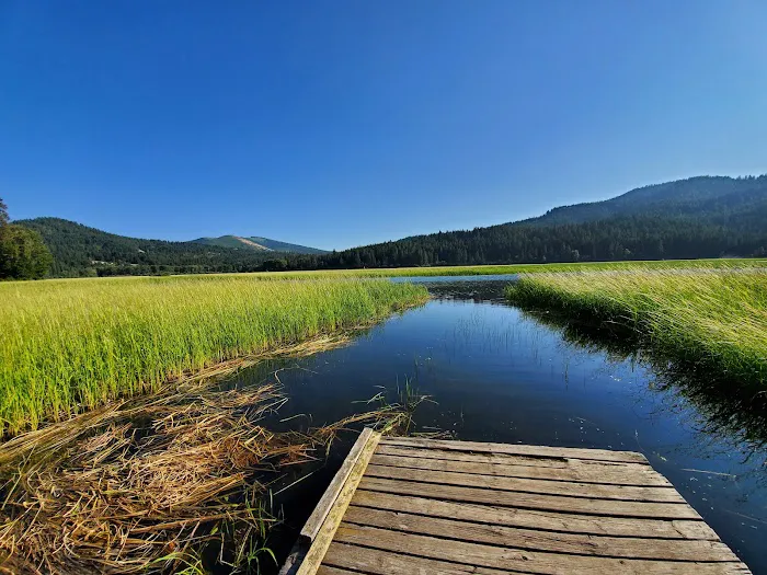 Benewah Lake Campground Picture 10
