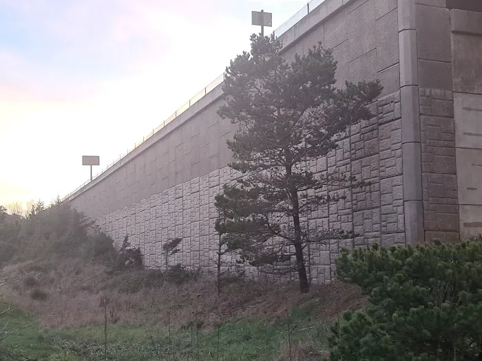 Beverly Beach State Park Campground Picture 9