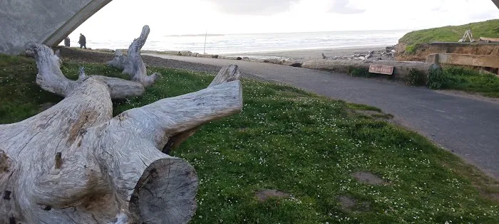 Beverly Beach State Park Campground Picture 5