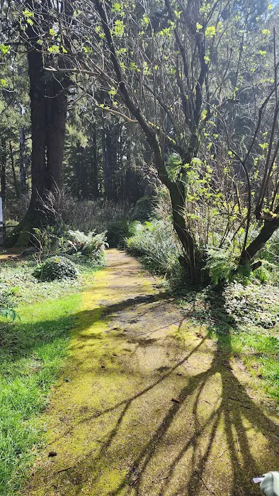 Beverly Beach State Park Campground Picture 8
