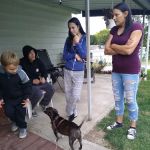 Sewickley Pines Manor