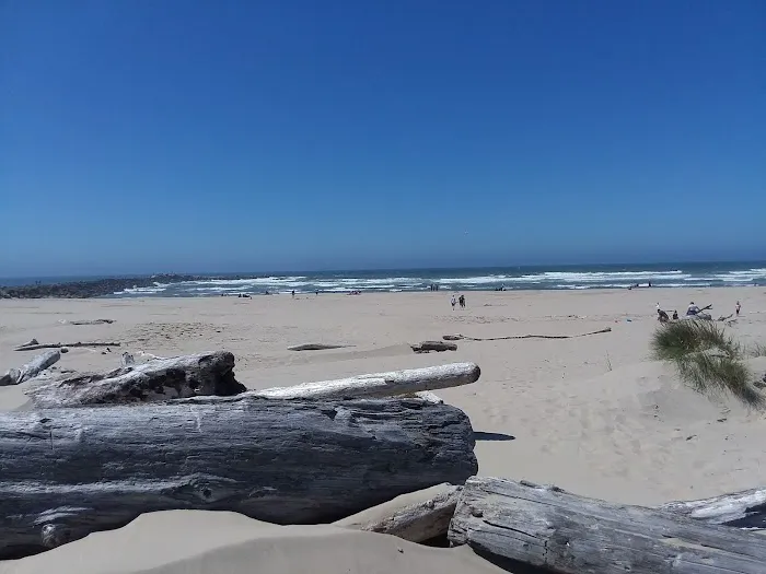 Harbor Vista County Campground & Park Picture 6