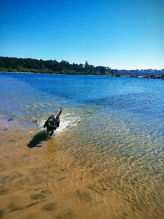 Harbor Vista County Campground & Park Picture 5