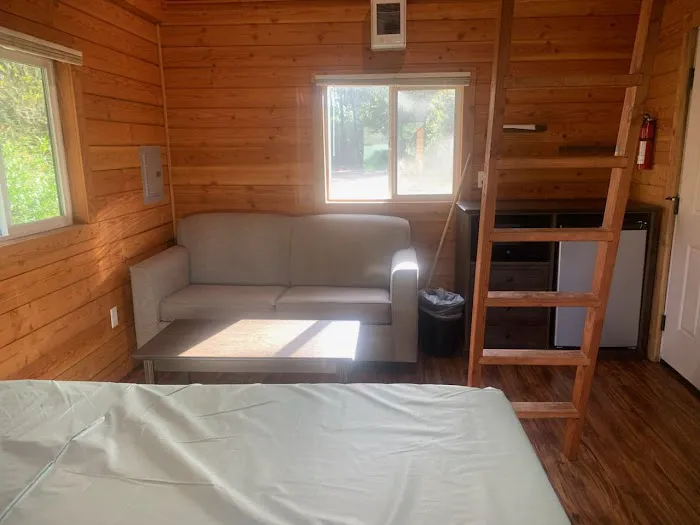 Harbor Vista County Campground & Park Picture 4