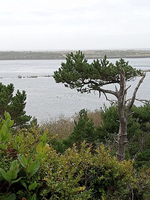 Harbor Vista County Campground & Park Picture 10