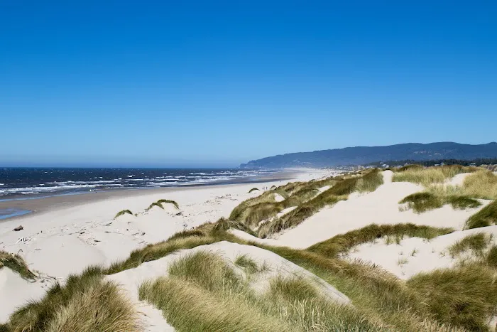 Harbor Vista County Campground & Park Picture 3