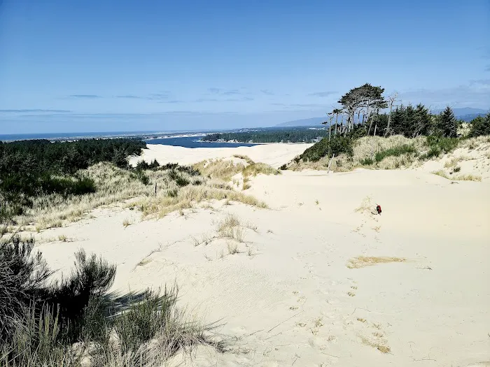 South Jetty Sand Camping Access Picture 8