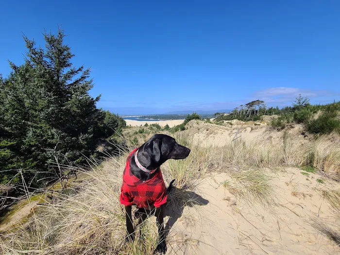 South Jetty Sand Camping Access Picture 9