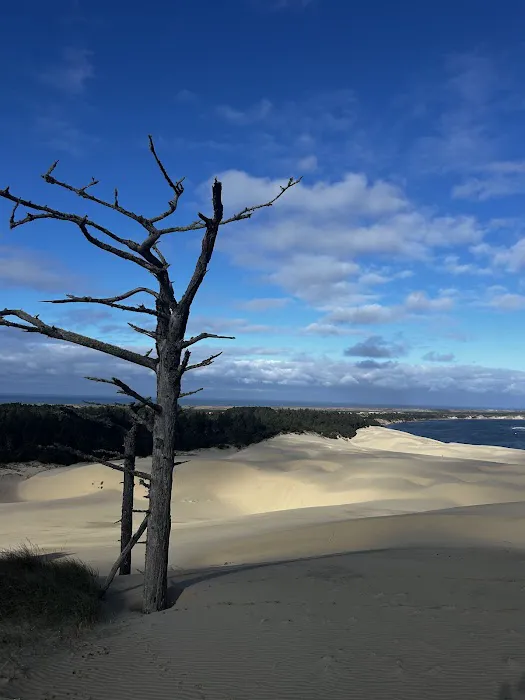 South Jetty Sand Camping Access Picture 5