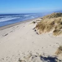 South Jetty Sand Camping Access ico