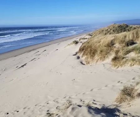 South Jetty Sand Camping Access