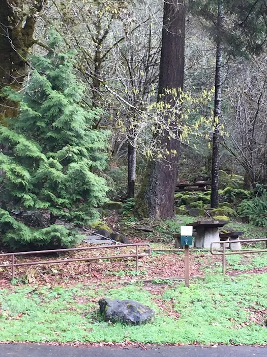 East Shore Campground Picture 5