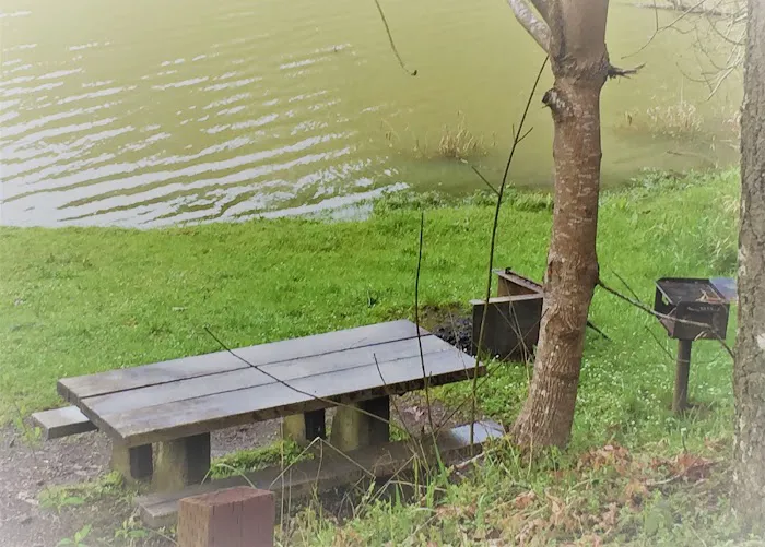 East Shore Campground Picture 7