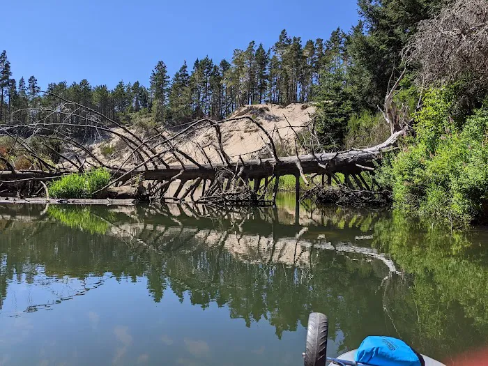 Tyee Campground Picture 4