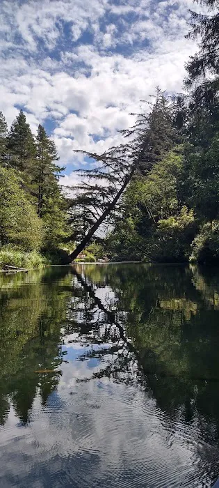 Tyee Campground Picture 9