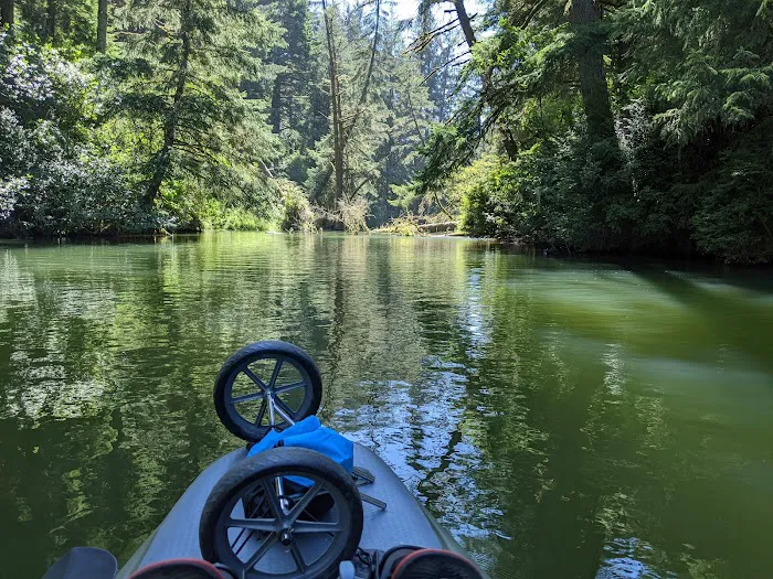 Tyee Campground Picture 7