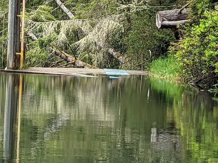 Tyee Campground Picture 3