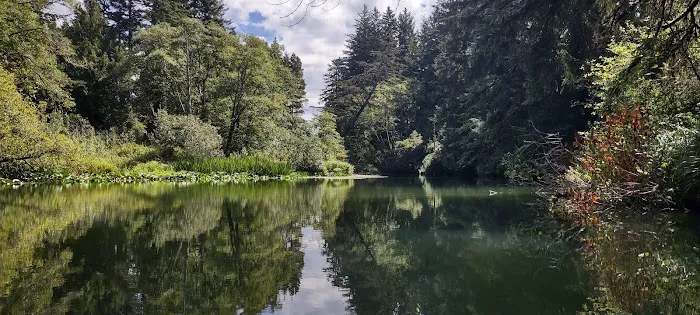 Tyee Campground Picture 5