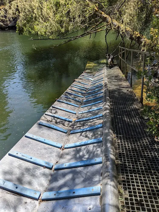 Tyee Campground Picture 8