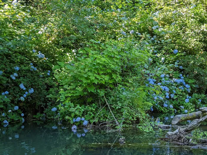 Tyee Campground Picture 6