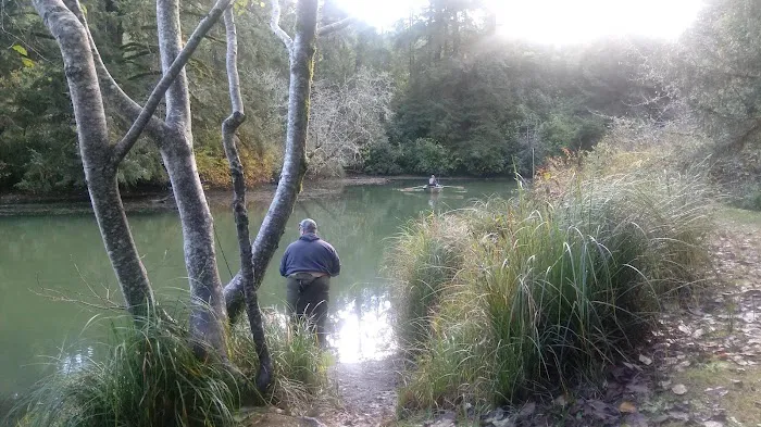 Tyee Campground Picture 10