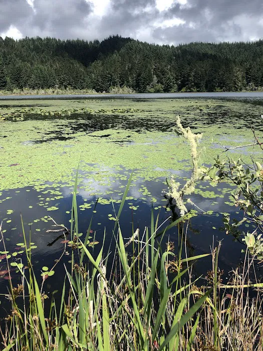 Tahkenitch Landing Campground Picture 8