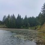 Tahkenitch Landing Campground