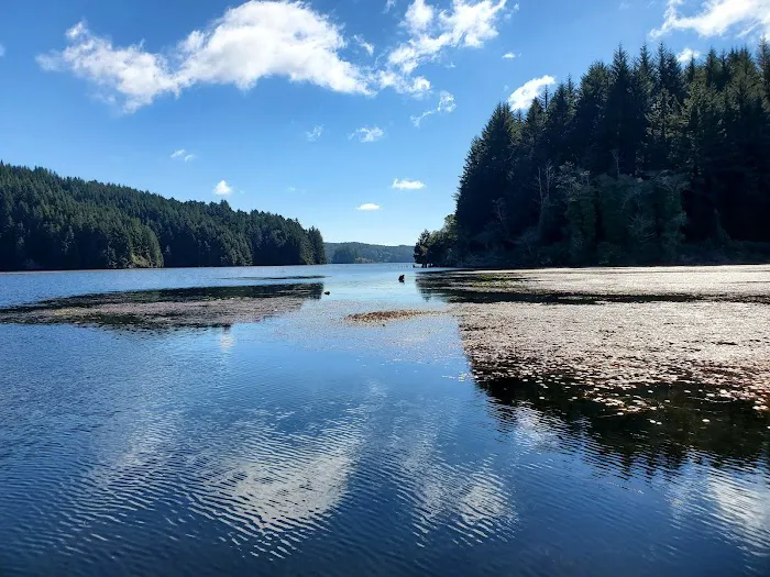 Tahkenitch Landing Campground Picture 5