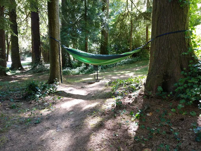 Tahkenitch Campground Picture 5