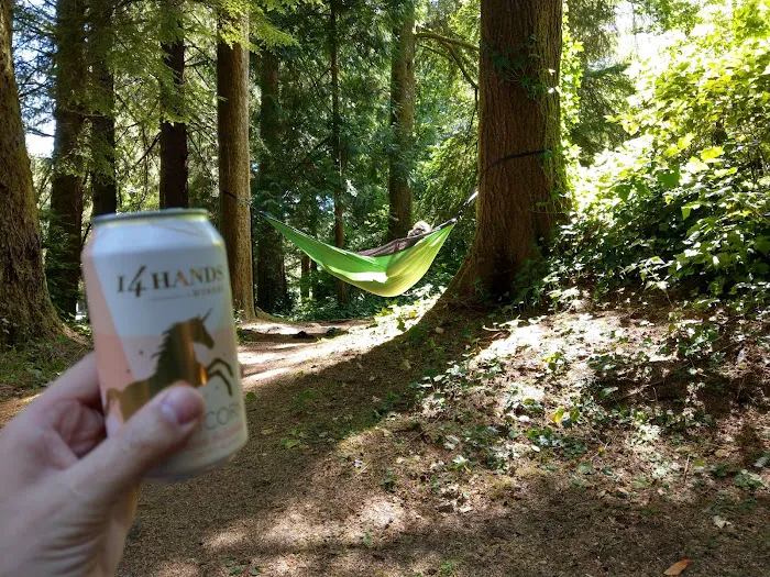 Tahkenitch Campground Picture 3