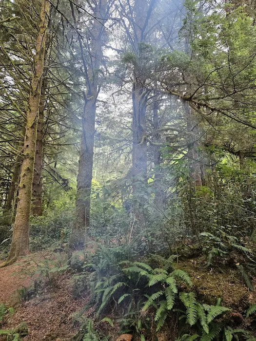 Tahkenitch Campground Picture 1