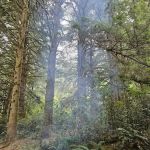 Tahkenitch Campground