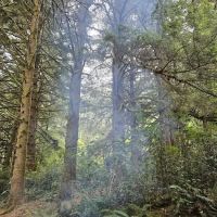 Tahkenitch Campground ico